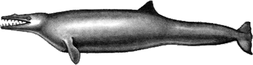 extinct whale